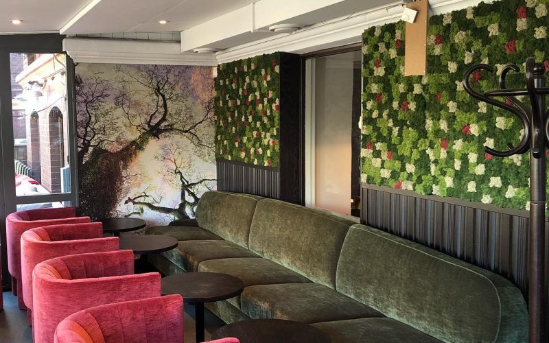 42823469_953785534967881_2657366033483956224_n